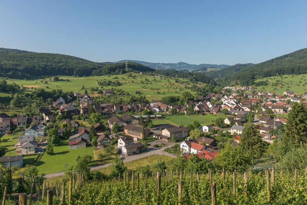 Ausblick vom Rebberg | in Ziefen, Baselland, Schweiz. - Realisiert mit Pictrs.com