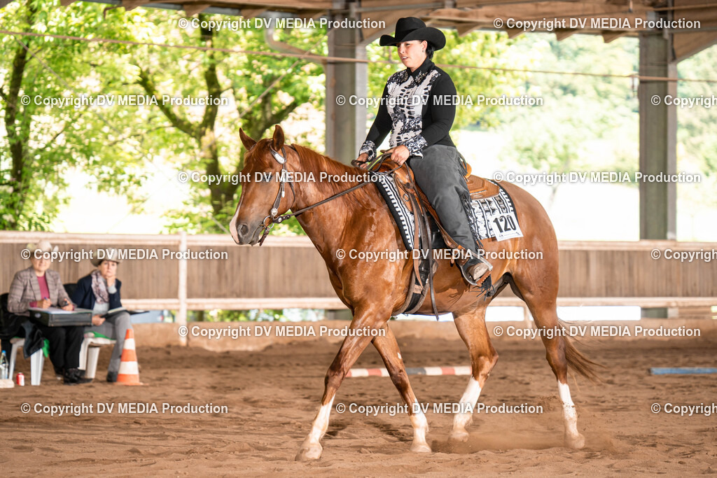 Erbach Tag 1-621 | dv-media-shop - Realisiert mit Pictrs.com