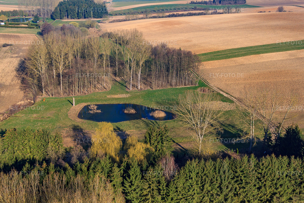 Luftbild: Teich am Muelbach in Seebach im Bundesland Bas-Rhin in Frankreich. – Foto: IMG_62683.jpg vom 09.03.2014 durch Werner Riehm/FLY-FOTO.de – Auflösung des Originals: 4752 x 3168 px