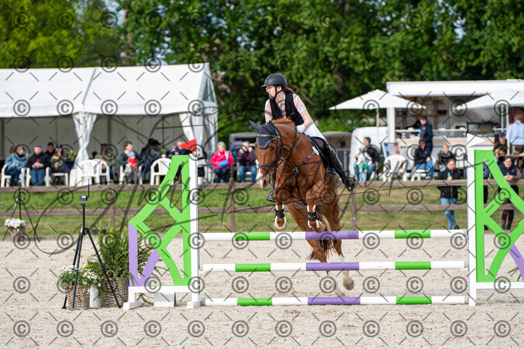 KPT_6848 | andre_photographic