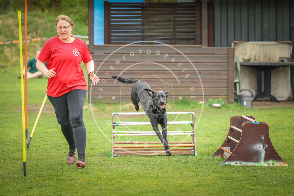 Pfotenfotografie_0L8A1049 | Hundefotografie, Tierfotograf, Pfotenfotografie, Fotoshooting Hund, Hunde Portrait, Hundesport, Hundeportraits, Heideshooting, Hunde, Sportfotograf, Hundefotograf, Turnierhundsport, THS,  - Realisiert mit Pictrs.com