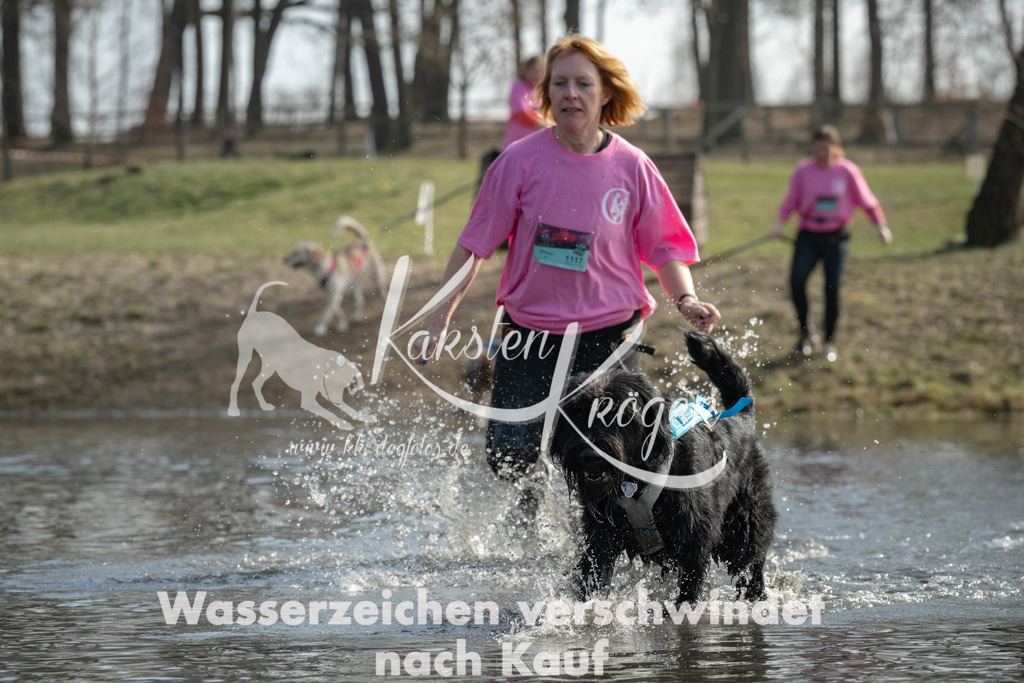 1236_ZZ90875 | kk-dogfotos