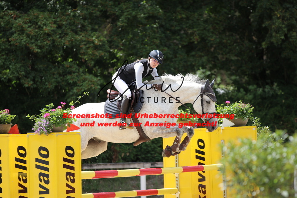 IMG_0346 | lmwpictures - Realisiert mit Pictrs.com