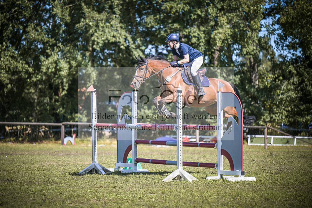DOS_0279 | Entdecke hochwertige Reitturnierfotos von Foto Oger. Professionell, emotional und authentisch – jetzt Lieblingsmomente im Shop bestellen.Deutschlandweite Turnierfotografie. - Realisiert mit Pictrs.com
