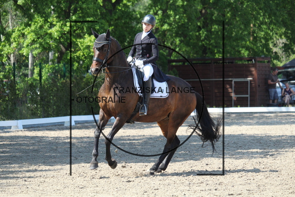 IMG_4981 | franziskalange - Realisiert mit Pictrs.com