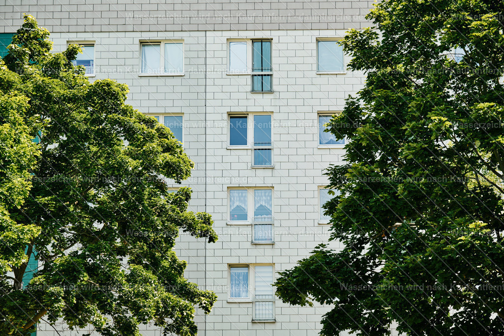 Leipzig Grünau Mitte Asternweg (Sommer 2025) | Leipzig Grünau Mitte Asternweg (Sommer 2025) - Realisiert mit Pictrs.com