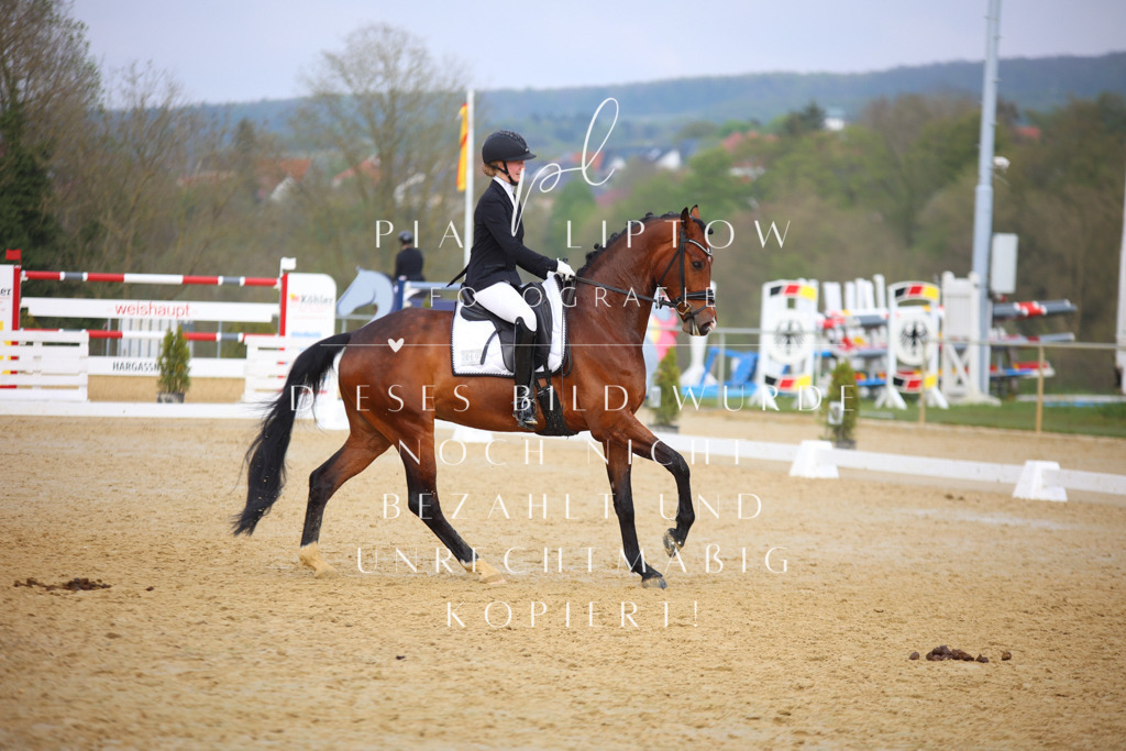 IMGT7989 | pl-fotografie