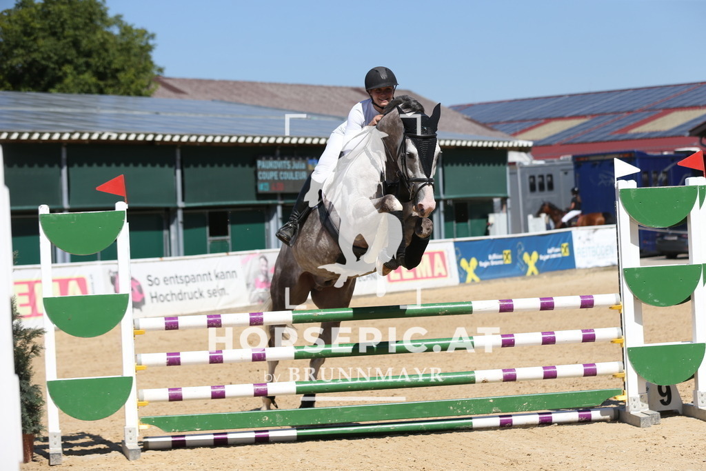 DL2Q9840 | Willkommen bei Brunnmayr - Design & Fotografie – Ihrem Spezialisten für Reitturniere und Pferdeveranstaltungen in Oberösterreich, Salzburg und Bayern! Seit über 17 Jahren sind wir leidenschaftlich dabei.
