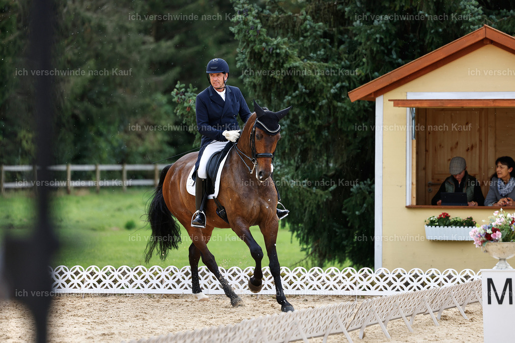 11-226-Dressur S___-StoibPH-1013 | working equitationturnier fotograf videograf stoibphotography marixx film working equitation deutschland reitsport turnierfotografie eventfotografie equestrian events