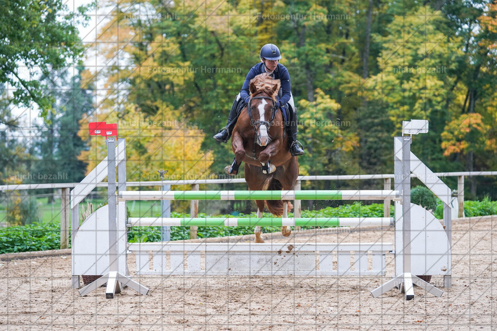 20221009-FAH08949 | Diessen am Ammersee, 2022, Dressur- und Springturnier, Reitsportbilder, Turnierfotografen Bayern, Pferdefotografen, Fotoagentur Herrmann, Turnierbilder
