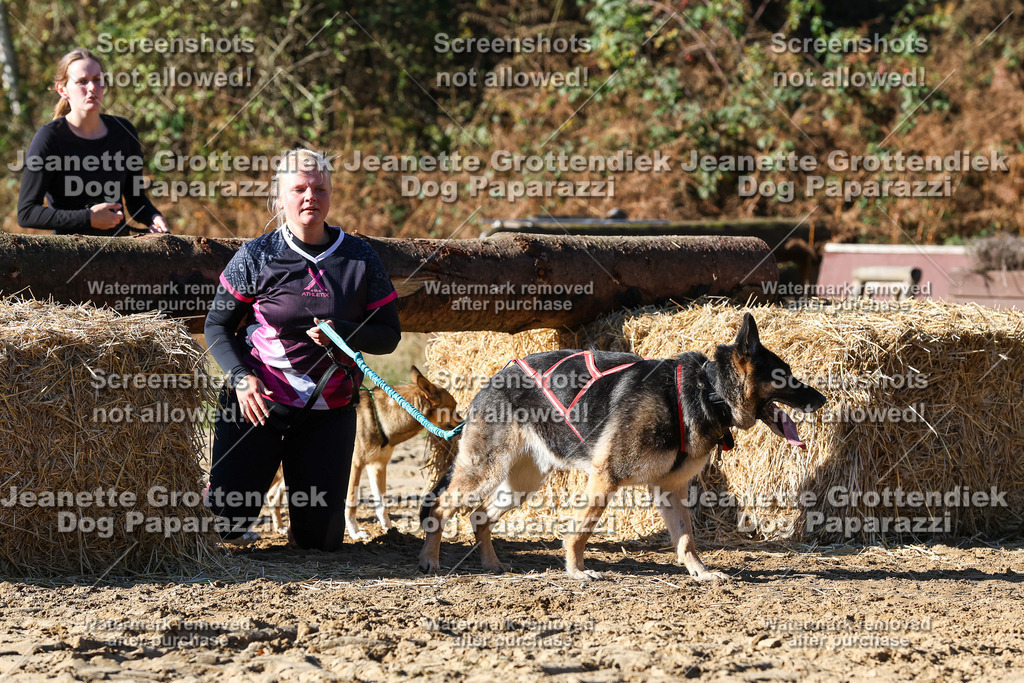 Dog Paparazzi - Strongdog 10-25-2366 | Dog Paparazzi Jeanette Grottendiek Fotografie & Videografie - Realisiert mit Pictrs.com