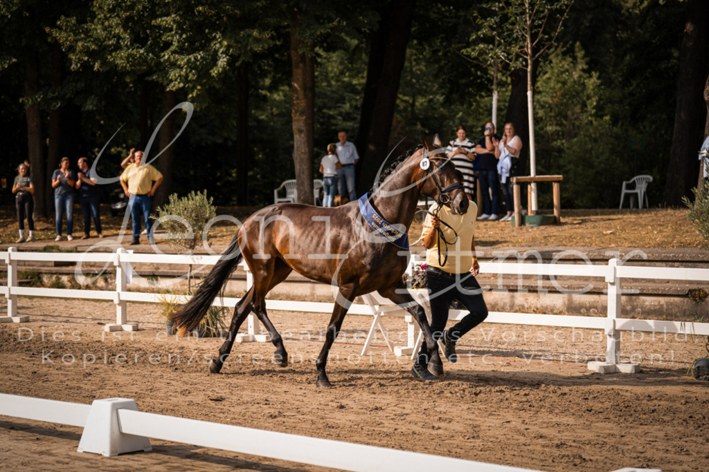 FrER00241 | Leoni Ertmer Photography - Realisiert mit Pictrs.com