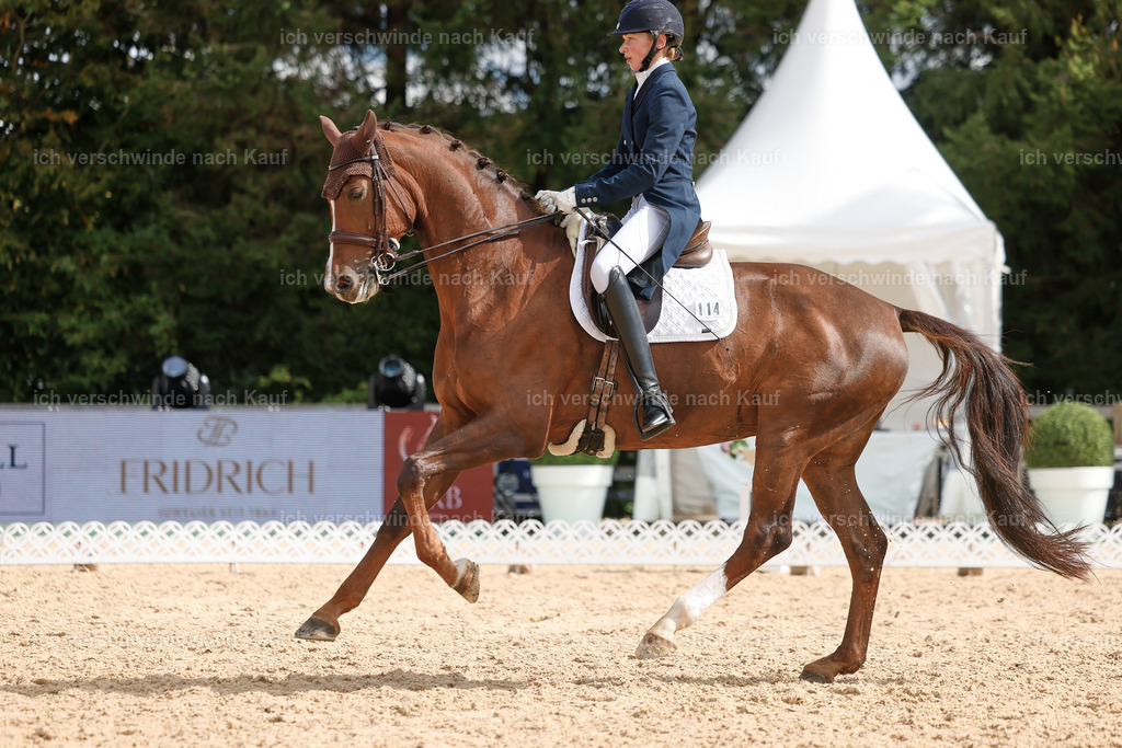 09_2-114-DRESSUR  S_  -StoibPH-5888 | working equitationturnier fotograf videograf stoibphotography marixx film working equitation deutschland reitsport turnierfotografie eventfotografie equestrian events