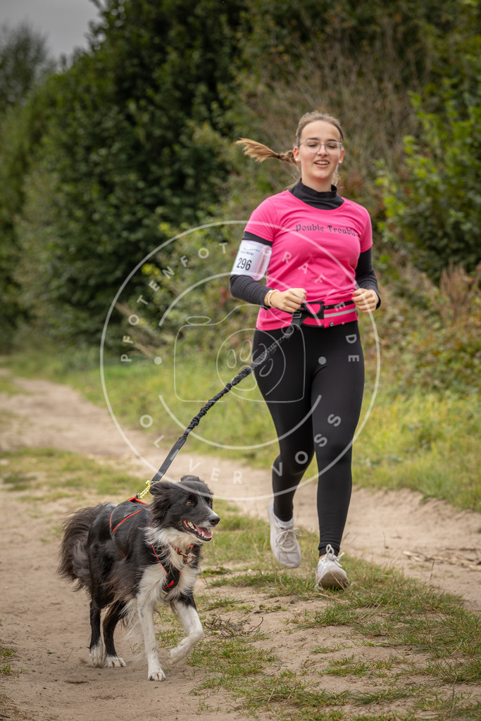 Pfotenfotografie_DV3A8456 | Hundefotografie, Tierfotograf, Pfotenfotografie, Fotoshooting Hund, Hunde Portrait, Hundesport, Hundeportraits, Heideshooting, Hunde, Sportfotograf, Hundefotograf, Turnierhundsport, THS,  - Realisiert mit Pictrs.com