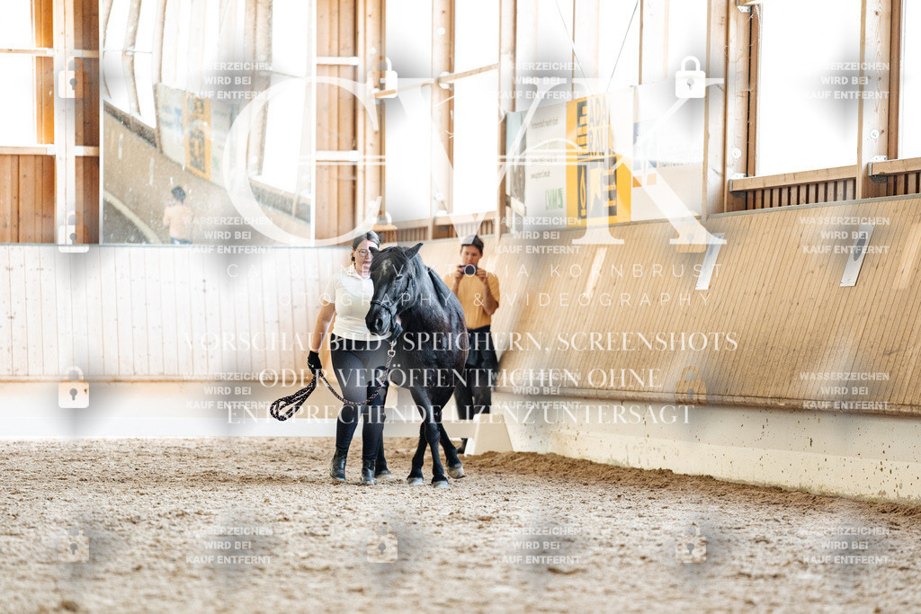 CK907504 | Turnierfotografie Pferdefotografie Trier Rheinland-Pfalz Pferdesport Reitsport Tierfotografie Sportfotografie Pferdevideo Pferdevideografie Equestrianvideography equestrianphotography  - Realisiert mit Pictrs.com