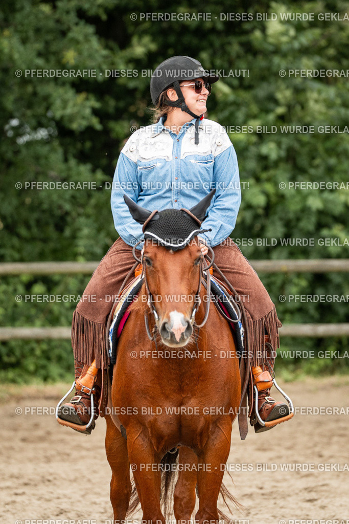 DSC03622 | Pferdegrafie