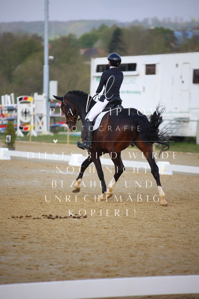 IMGT8540 | pl-fotografie