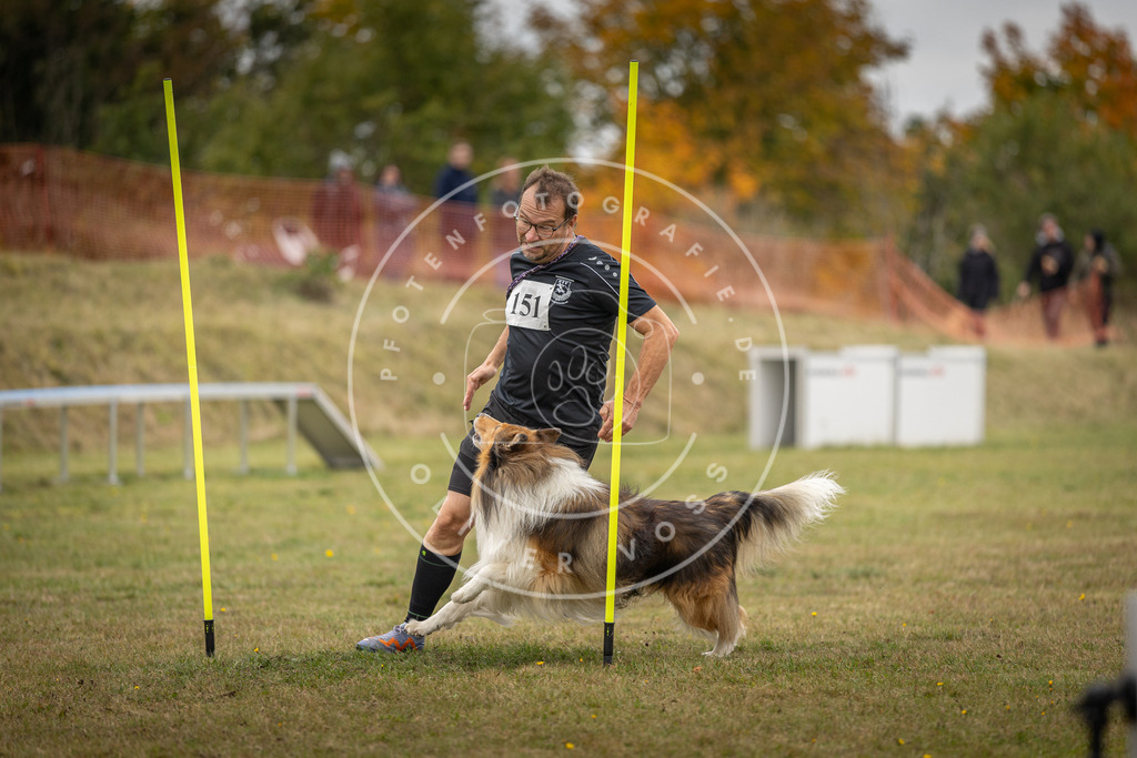 Pfotenfotografie_DV3A6398 | Hundefotografie, Tierfotograf, Pfotenfotografie, Fotoshooting Hund, Hunde Portrait, Hundesport, Hundeportraits, Heideshooting, Hunde, Sportfotograf, Hundefotograf, Turnierhundsport, THS,  - Realisiert mit Pictrs.com