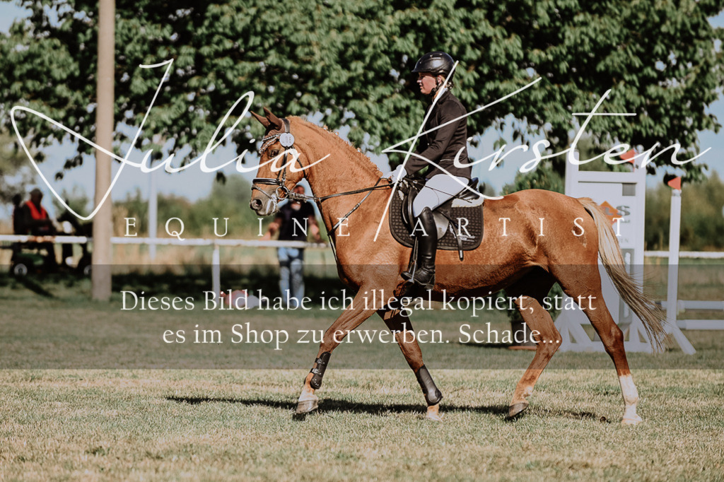 DSC_9310 | Pferde- und Turnierfotografie in Westsachsen. Pferdeportraits, Auftragszeichnungen und intuitive Kunst.