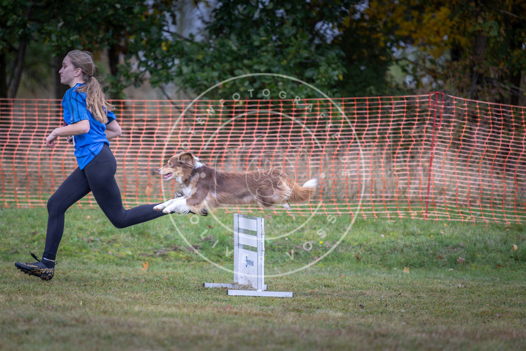 Pfotenfotografie_DV3A0420 | Hundefotografie, Tierfotograf, Pfotenfotografie, Fotoshooting Hund, Hunde Portrait, Hundesport, Hundeportraits, Heideshooting, Hunde, Sportfotograf, Hundefotograf, Turnierhundsport, THS,  - Realisiert mit Pictrs.com
