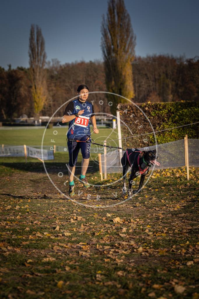 CaniXpix_DV3A3058 | Hundefotografie, Tierfotograf, Pfotenfotografie, Fotoshooting Hund, Hunde Portrait, Hundesport, Hundeportraits, Heideshooting, Hunde, Sportfotograf, Hundefotograf, Turnierhundsport, THS,  - Realisiert mit Pictrs.com