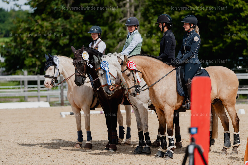 Svea13FHC2025-3117 | working equitationturnier fotograf videograf stoibphotography marixx film working equitation deutschland reitsport turnierfotografie eventfotografie equestrian events