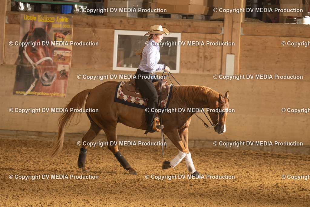 LAU00442 | dv-media-shop - Realisiert mit Pictrs.com