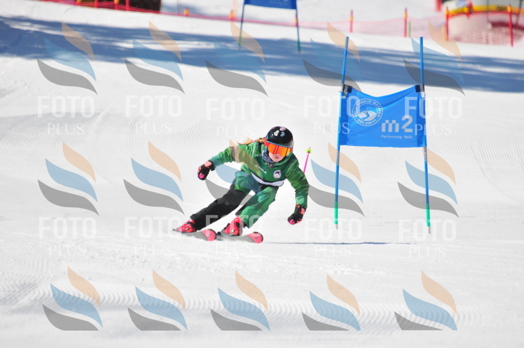 C2269 | holidayphoto