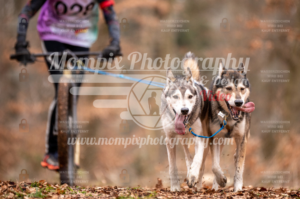 AKM_ST_2023_SAM_DS2-53 | PayLife