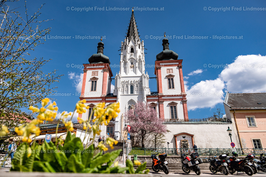Mariazell basilika 30042022-6316 | Fotos und Fotoprodukte - Realisiert mit Pictrs.com