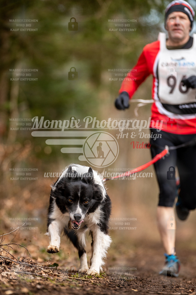 Reiat2023_SAM_CaniXRun_8km_M-4 | PayLife