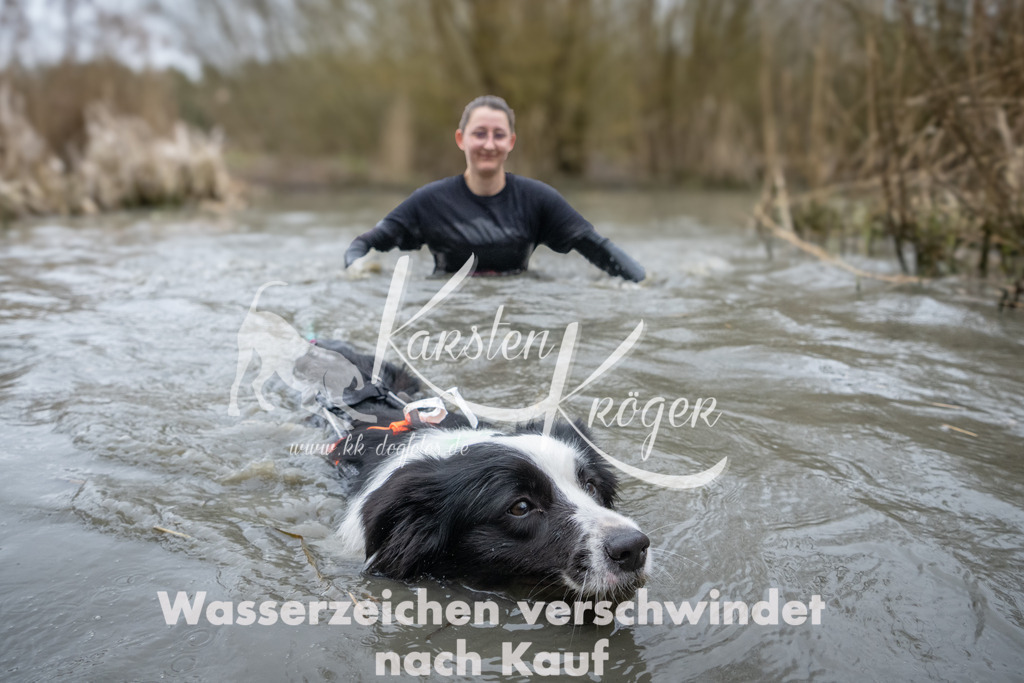 1039_ZZ91844 | kk-dogfotos