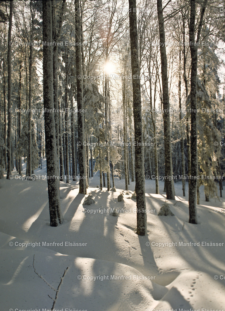 Sonne+Schatten im Winterwald WB-032 | Wald, Ruhe, Erholung, Abschalten, relaxen, Augenoasen, Kraft tanken, Waldbaden, Stress reduzieren, Bäume, Kirschblüten, Frühlingswald, Sonne im Wald, Licht im Wald, Herbstwald, Waldwege, Gebirgswald, Wasser im Wald, Felsen im Wald, - Realisiert mit Pictrs.com
