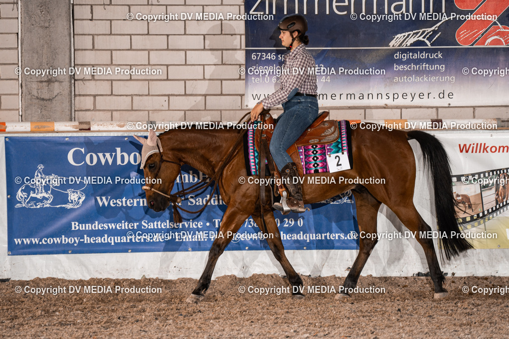 ZH100950 | dv-media-shop - Realisiert mit Pictrs.com