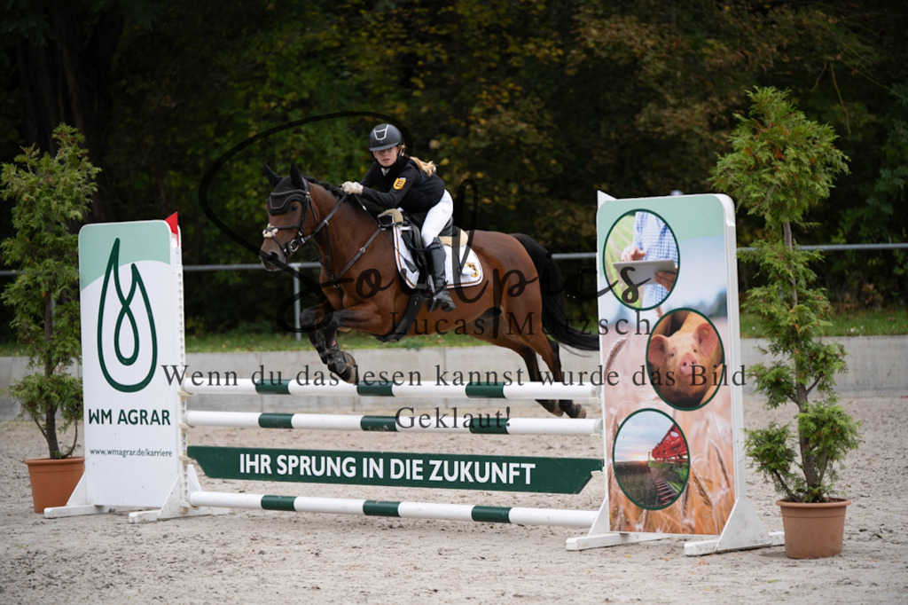 A7V08254 | Pferdefotograf