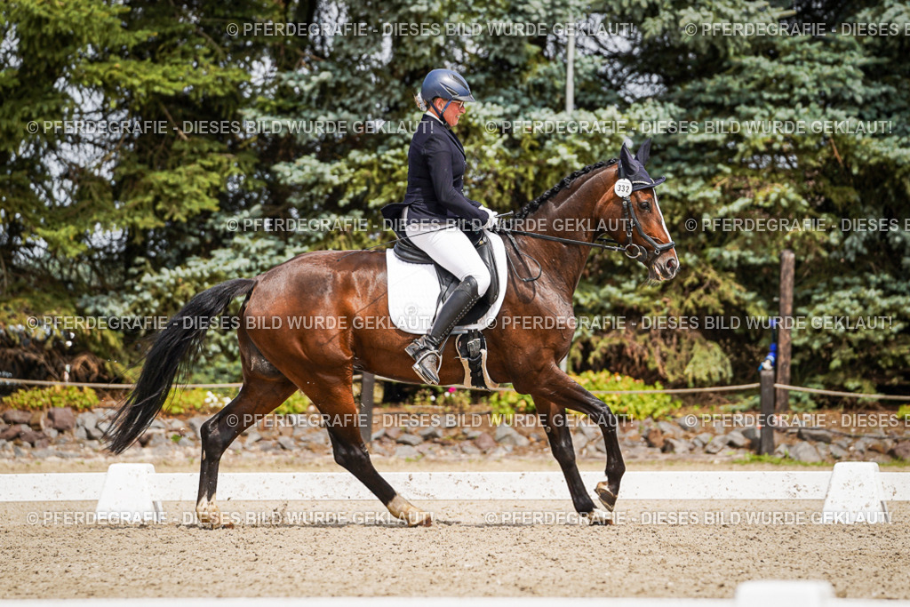 DSC03751 | Pferdegrafie