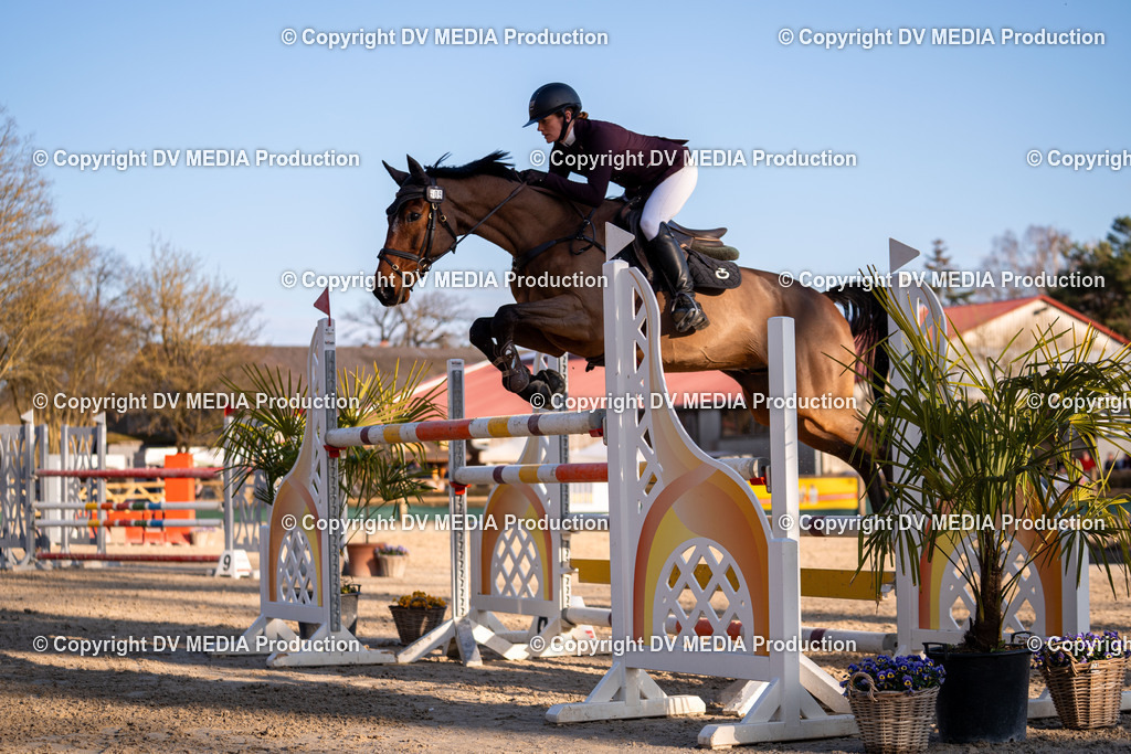 Kranichstein Tag 2-1101 | dv-media-shop - Realisiert mit Pictrs.com