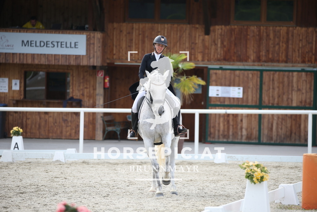 DL2Q4777 | Willkommen bei Brunnmayr - Design & Fotografie – Ihrem Spezialisten für Reitturniere und Pferdeveranstaltungen in Oberösterreich, Salzburg und Bayern! Seit über 17 Jahren sind wir leidenschaftlich dabei.