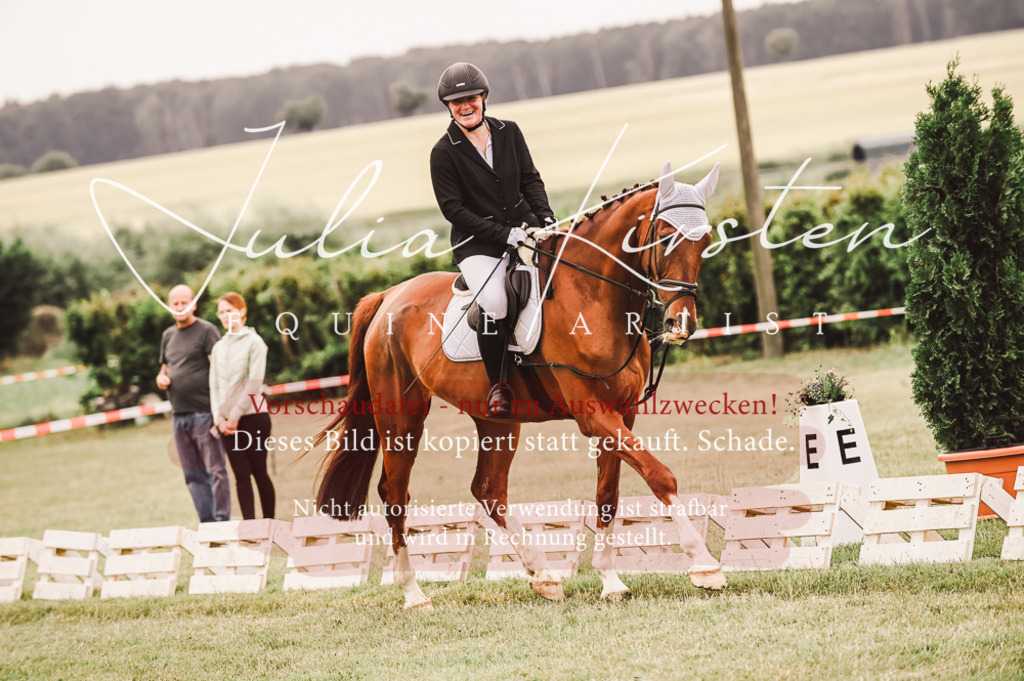 DSC_5072 | Pferde- und Turnierfotografie in Westsachsen. Pferdeportraits, Auftragszeichnungen und intuitive Kunst.