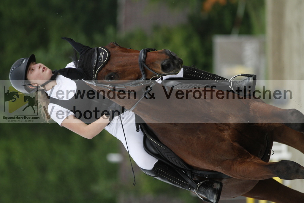 _MG_6495 | equestrian-live-com