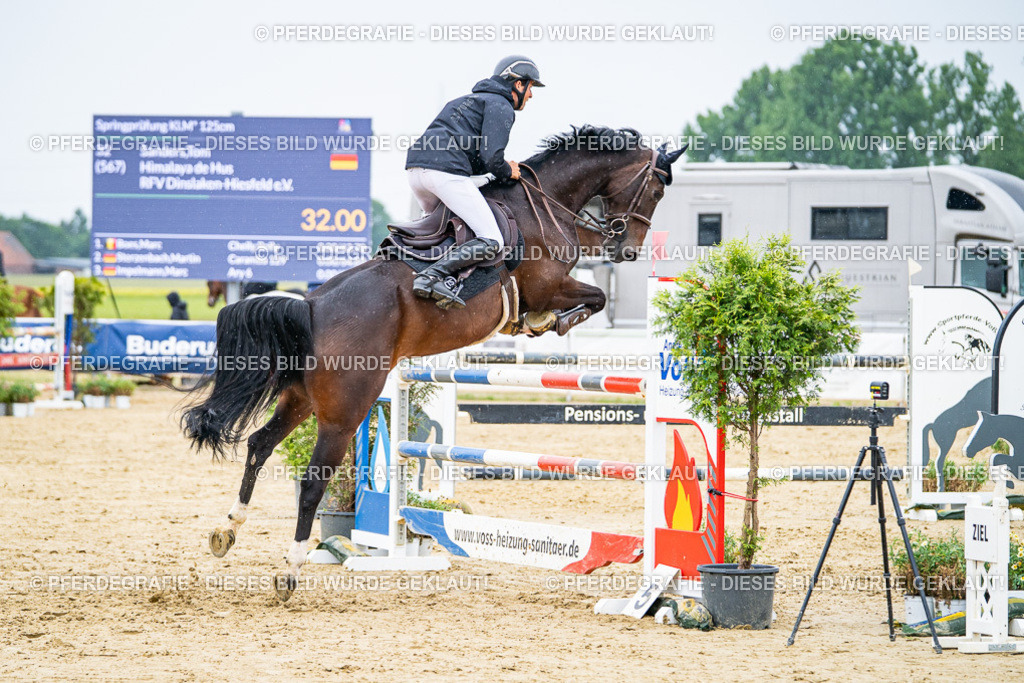 DSC07573 | Pferdegrafie