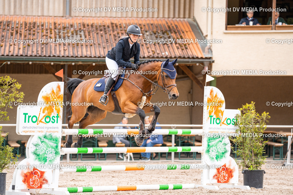 Eppelheim Tag 1-133 | dv-media-shop - Realisiert mit Pictrs.com