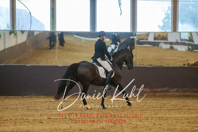 IMG_7914 | Turniersportfotografie; Pferdefotografie; Dressurfotografie