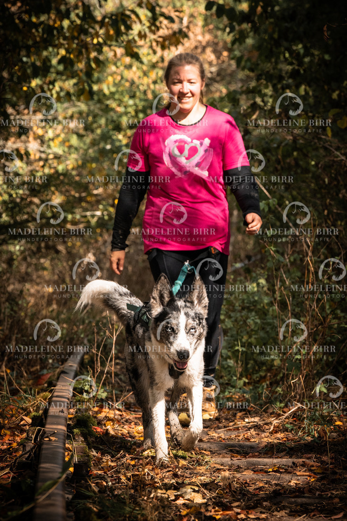 madeleinebirr.fotografie.2026.cc.hunsrueck.12-13Uhr.83 | hundefotografie-birr