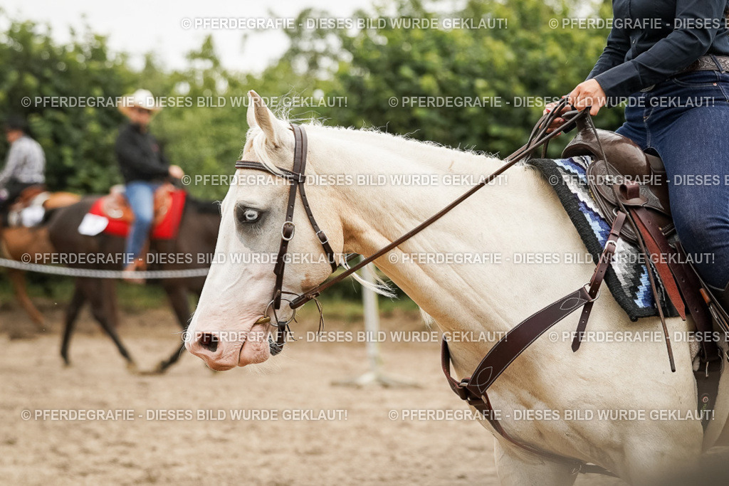 DSC08998 | Pferdegrafie