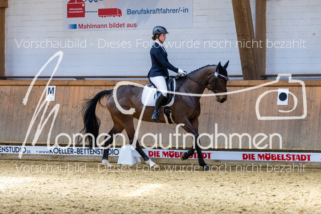 Sth-LPO25-DrR-L-219 | MomenTaufnahmen Pferdesportfotos