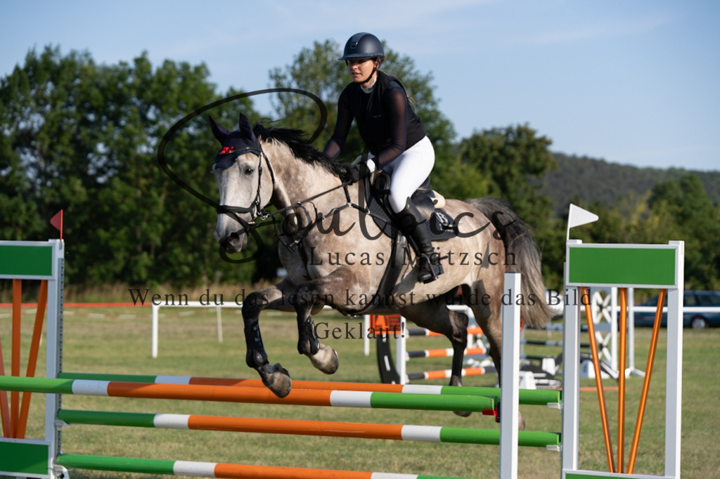 A7V00968 | Pferdefotograf