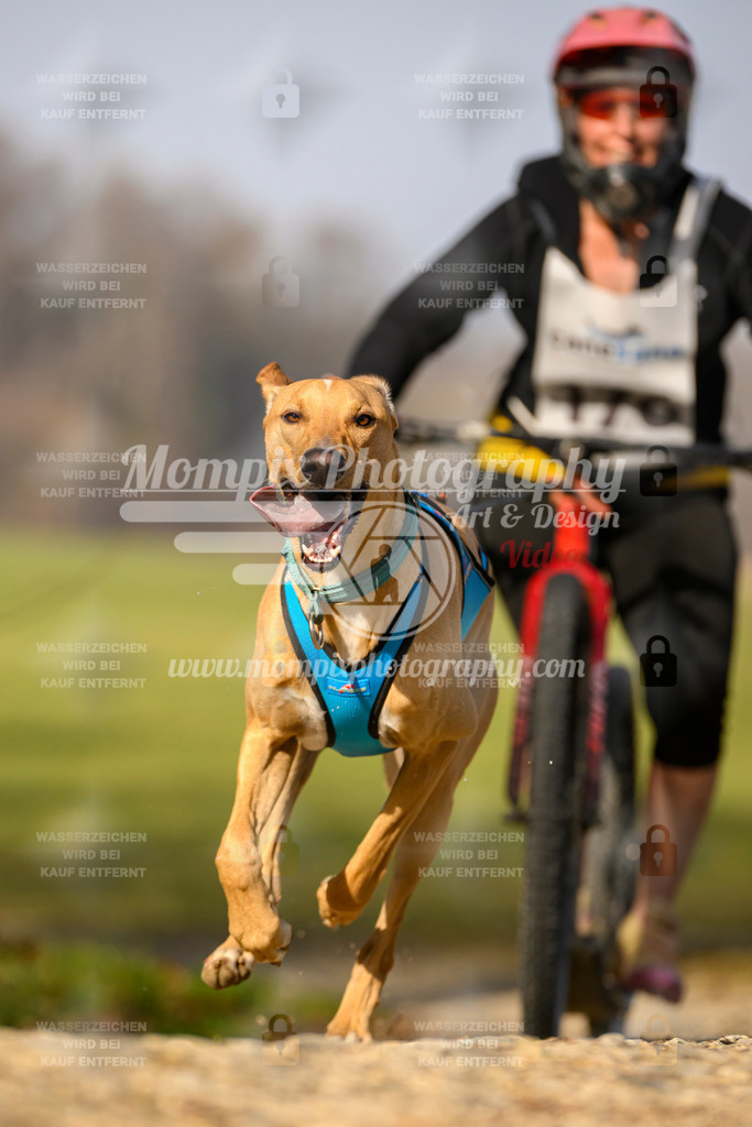 MompixPhotography_6ReiatRennen2026_SA_HappyDog-136 | PayLife