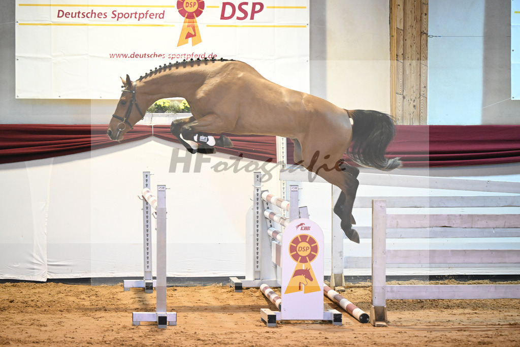 Kat-Nr. 53 v. Vingino_Bachl_66221187 | hf-fotografie - Realisiert mit Pictrs.com
