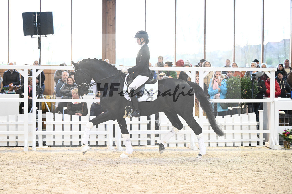 Haffruf_7240769 | hf-fotografie - Realisiert mit Pictrs.com